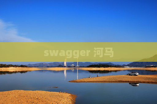 swagger 河马 swagger 河马